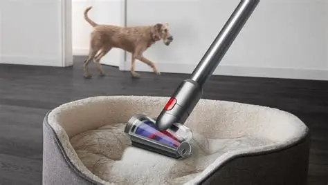 Dyson V12 Detect Slim 2