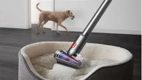 Dyson V12 Detect Slim